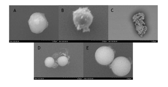 Master's thesis, Candela Torres Romero, Figure 9. Image by Candela Torres Romero / Aalto University