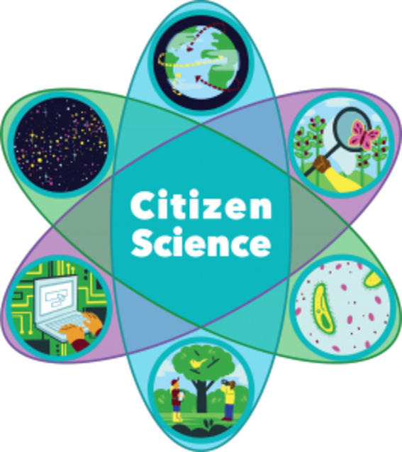 Citizen science