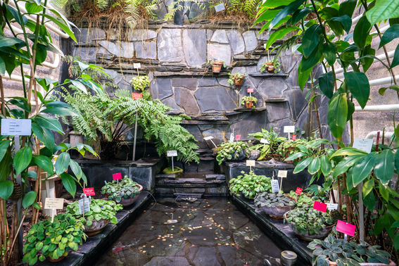 Kaisanaiemi Botanic Garden