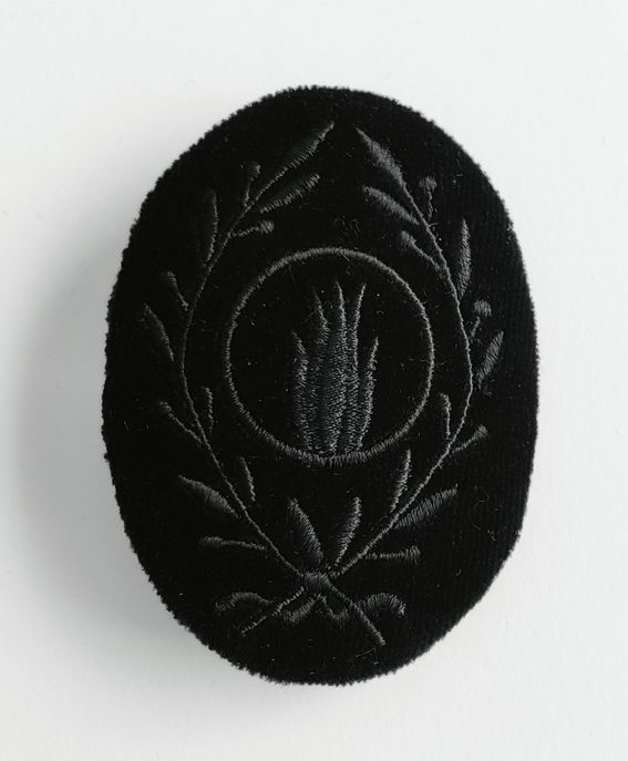 Brooch for Doctor of Technology