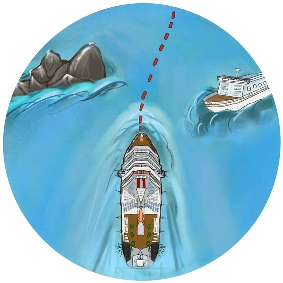 Can the Ropax ship aviod collusion and grounding in real conditions ？