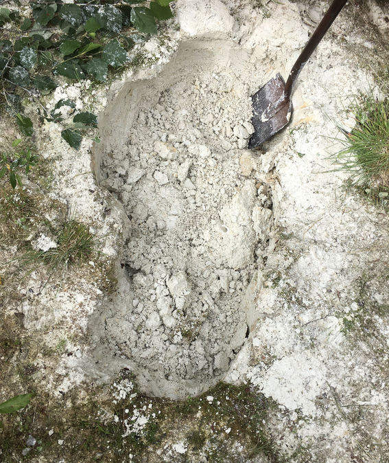 clay on the forest floor