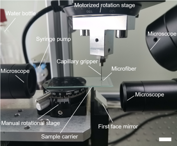 Fiber self-alignment capillary gripper