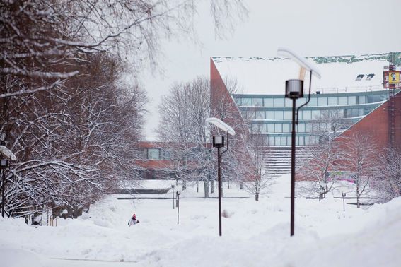 Campus in winter