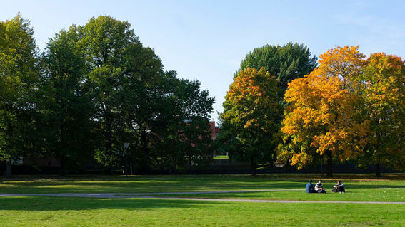 Picture of the nature on Aalto Campus