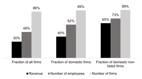 Importance of privately held firms compared to all firms, domestic firms, and non-listed domestic firms, 2022