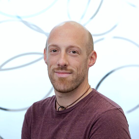 Erlantz Lizundia (University of Basque Country) 