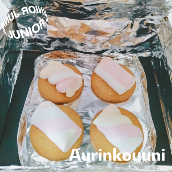 Neljä keksiä vaaleanpunaisilla ja valkoisilla vaahtokarkeilla foliolla, tekstit 'Aurinkouuni' ja 'Junior'.