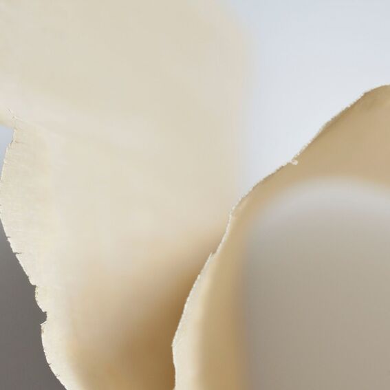 Aalto University Bioinnovation Center