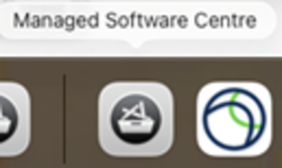 A screenshot showing the Managed Software Centre with app icons below it, including a grey icon with a boat and a blue-green circle icon.