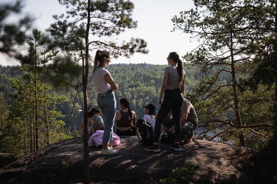 Group of hikers resting on a rocky hilltop among tall green pines, overlooking a distant forest valley