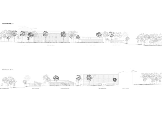 Two architectural site sections showing different buildings and trees. Pictures in black and white.