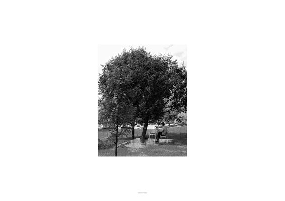 A person sits on a bench under a large tree, in a park. Picture is black and white.