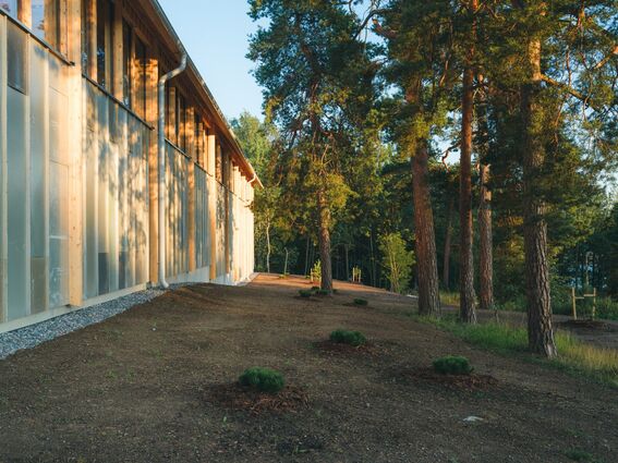 Side of a modern building with windows next to a pine forest. The ground is bare with a few young plants.