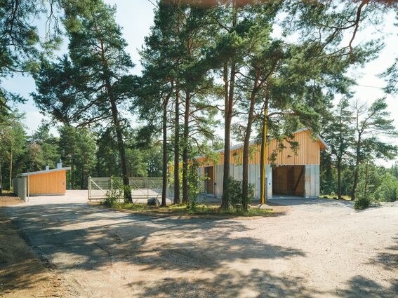 Two wooden storage buildings surrounded by pine trees in a forested area. There is a dirt road leading to the structures.
