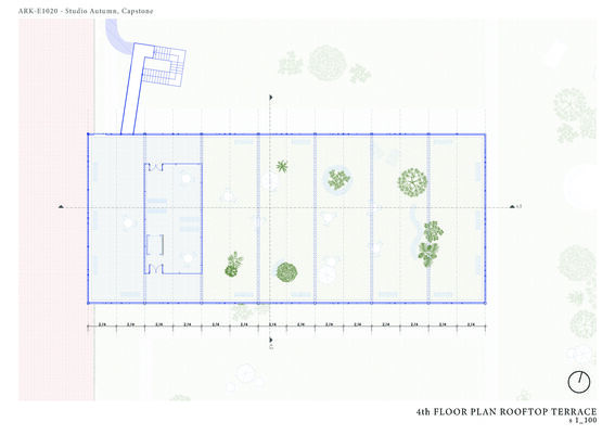 Architectural plan of a rooftop terrace with plants, seating areas, and pathways. Scale 1:100.