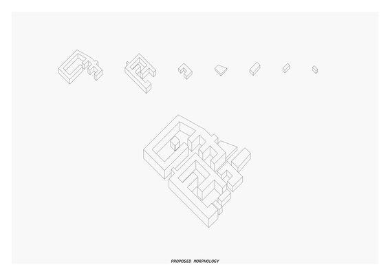 A series of geometric shapes evolving into a complex structure, labelled 'Proposed Morphology'.