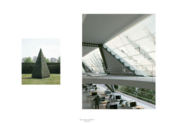 Left: A conical hedge in a garden. Right: A modern office with large windows and desks.