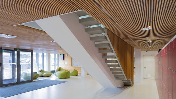 Modern interior with wooden ceiling, floating stairs, green bean bags, and red lockers. Large windows and glass doors.