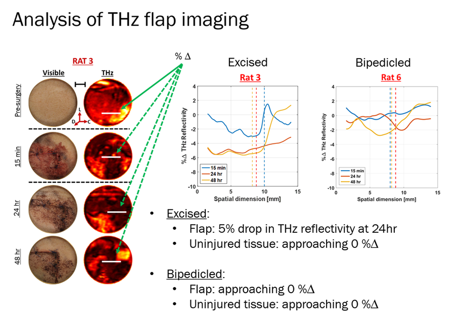 Surgical flap viability