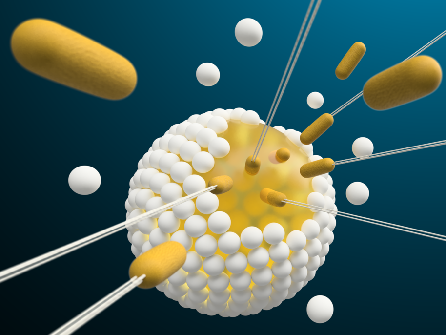 3d rendering of bioactive (nano)cellulose.