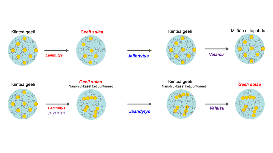 Jos geeliä (harmaat viivat) valaistaan sulattamisen aikana sinisellä ja punaisella valolla, nanopartikkelit (keltaiset pallot) takertuvat yhteen ja muodostavat pieniä ketjuja. Geeli alkaa sulaa ilman lämmittämistä, pelkkien värivalojen vaikutuksesta.