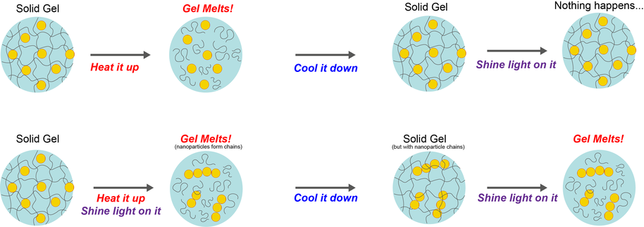 A schematic showing how the training process works
