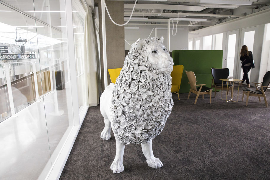 Kuva: Mikko Raskinen