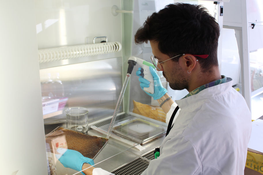 Manuel Arias Barrantes in Korvaa project. Photos courtesy of Karita Viita-aho.