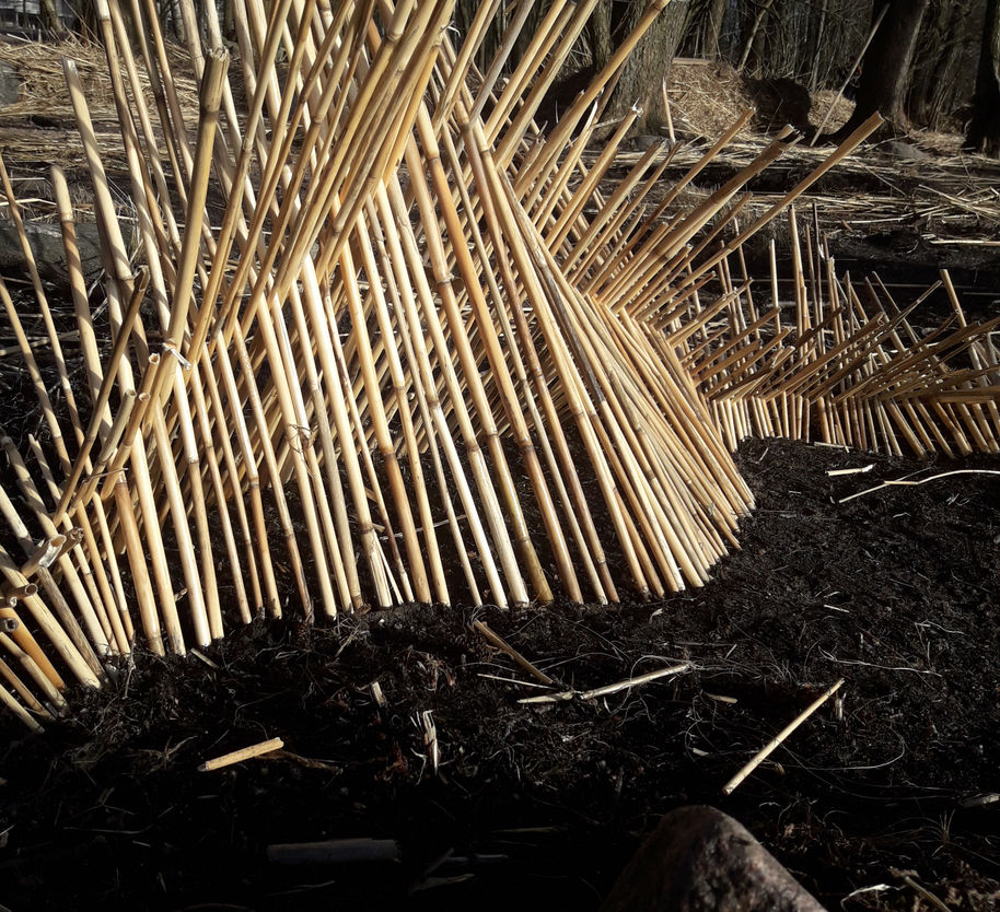 PE2020_SALLALUHTASELA_TWIGLADY_02