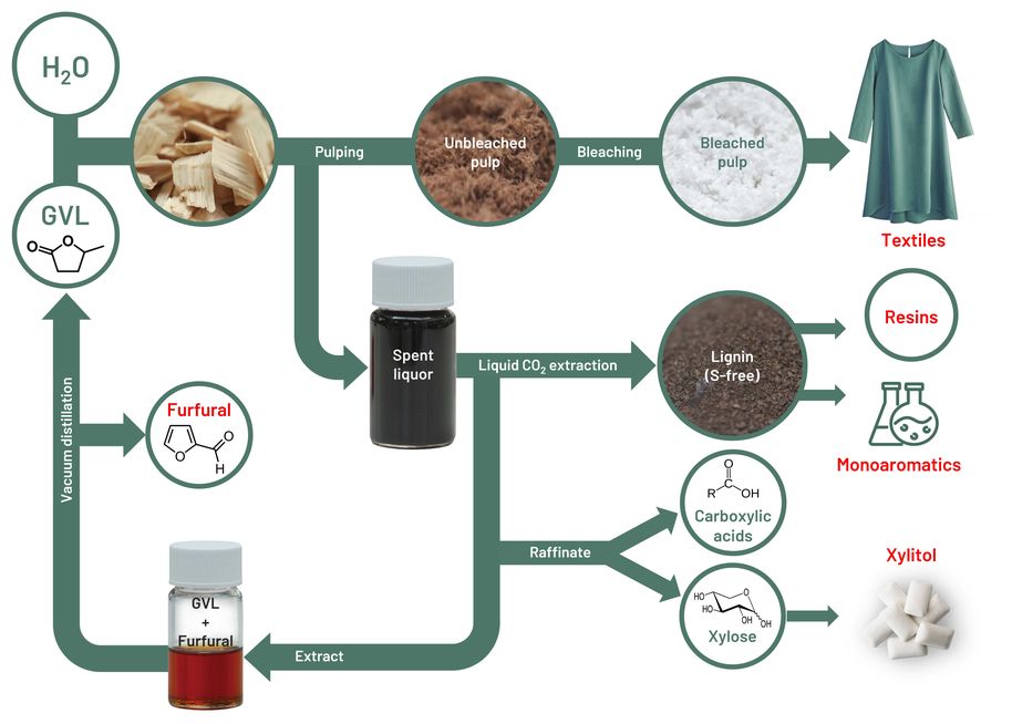 Make pulping great again with GVL biorefinery. | Photo and desgin by Nina Pulkkis and Huy Quang Lê