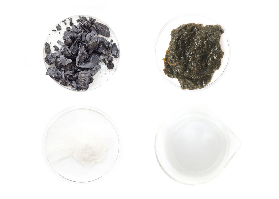 petri dishes on table with organic material in them