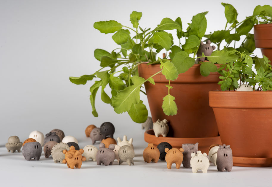 close of the little creatures next to plant pots