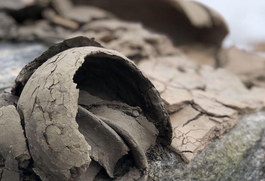 ceramics outside in winter