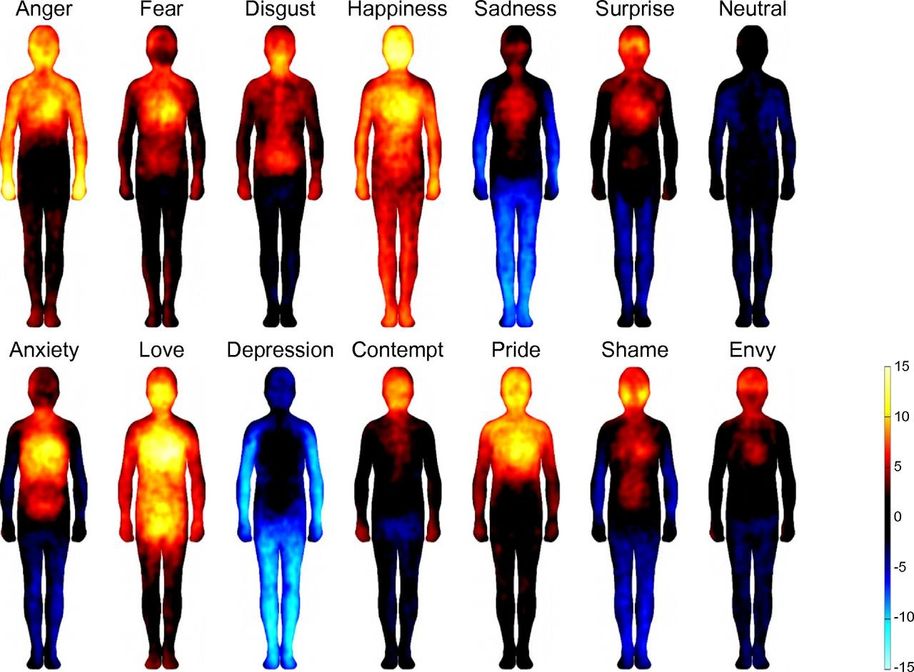 Bodily maps of emotions, illustration: Enrico Glerean.
