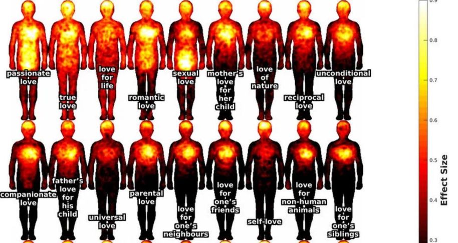 Havainnekuva kehoista, joissa eri rakkauden lajit näkyvät eri voimakkuuksilla.
