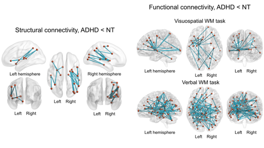Tolonen et al., 2023a; 2023b