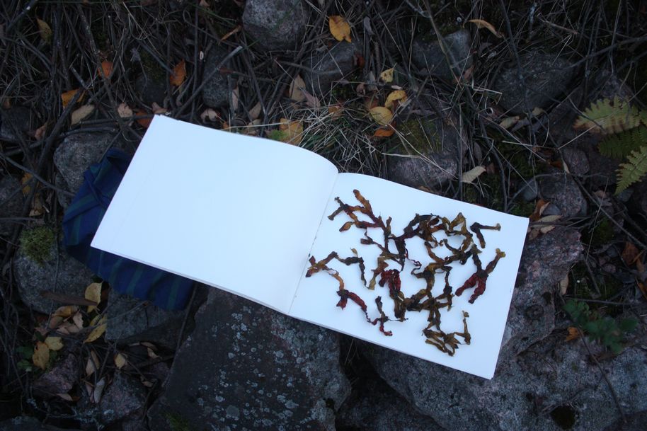 Remaining bits from the algae net arranged on a page in a blank notebook placed on the floor somewhere in nature