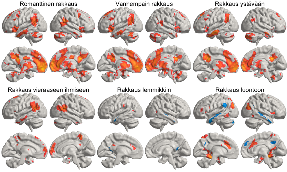 Rakkauden aivoalueet. Kuva: Pärttyli Rinne ja muu tutkimusryhmä, Aalto-yliopisto.