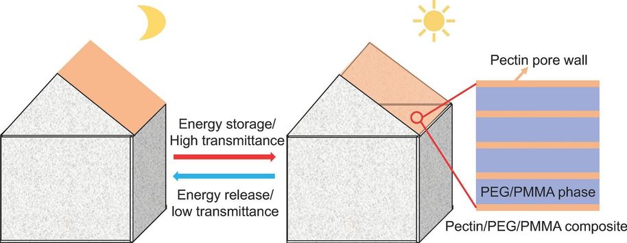 Pectin-based composite for ‘smart’ window and energy storage ...