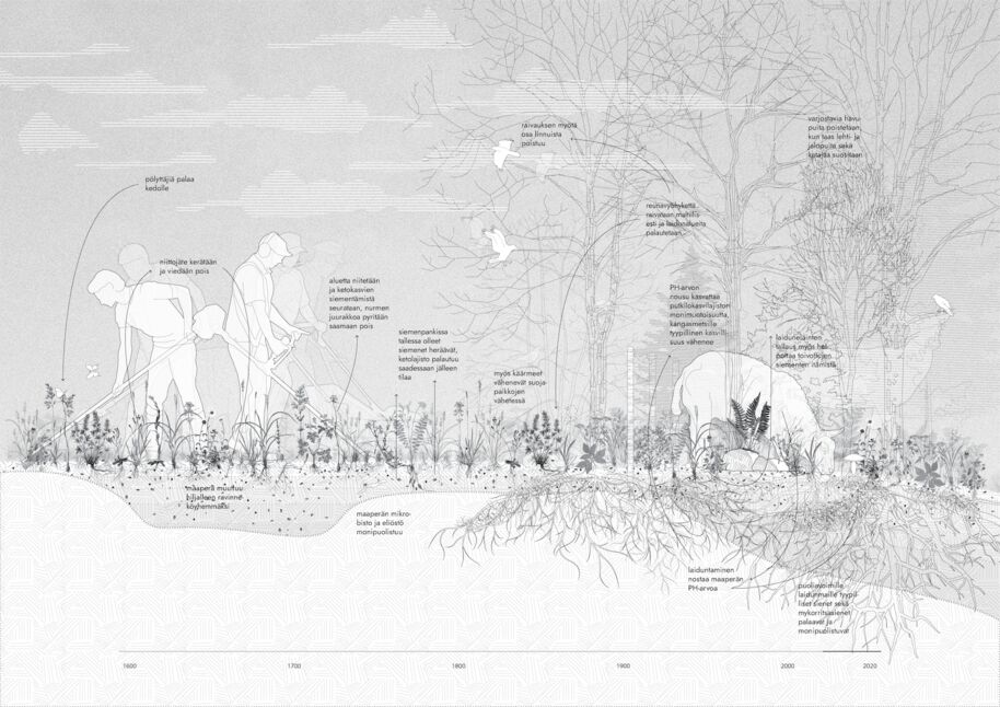 Kaavio, joka näyttää ketolaikkujen reunavyöhykkeiden käytäntöjä.