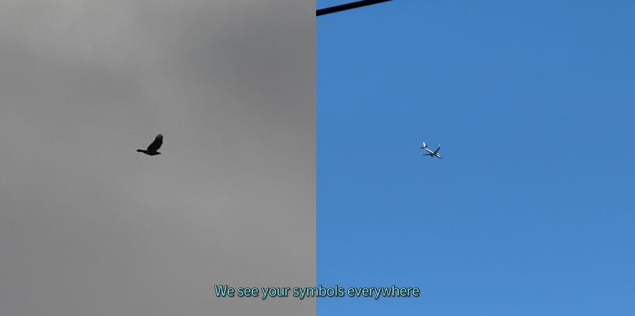 The Birds We Meet Again by Boer Ling