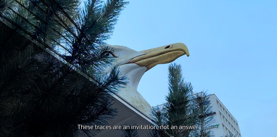 The Birds We Meet Again by Boer Ling