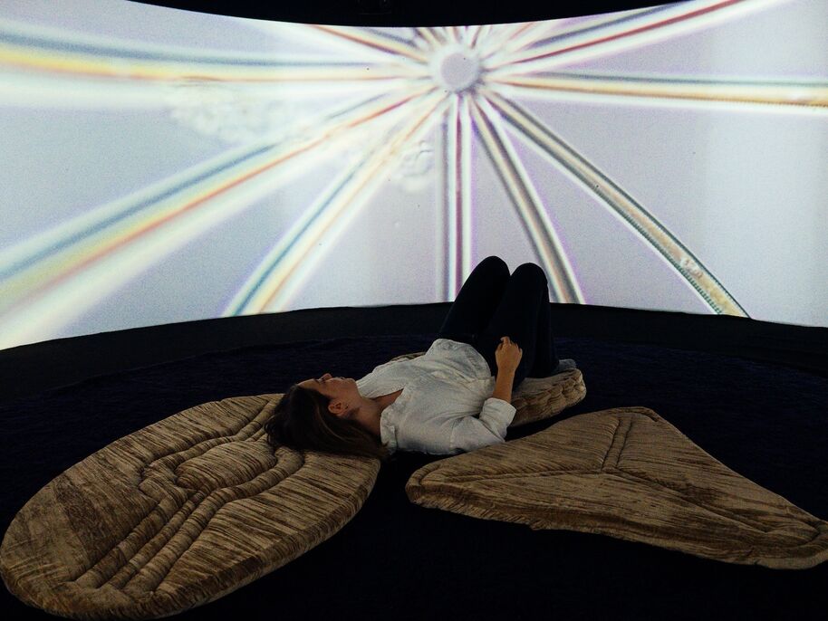 Every Fourth Breath - Who Are the Diatoms? by Hitomi Asaka, Juni Neyenhuys, Carla Rotenberg, and Aada Teittinen