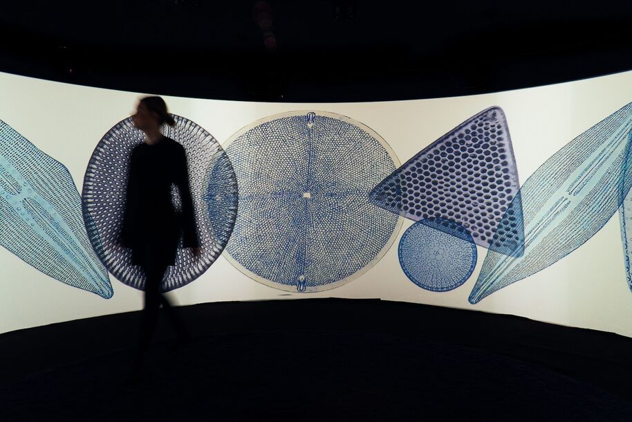 Every Fourth Breath - Who Are the Diatoms? by Hitomi Asaka, Juni Neyenhuys, Carla Rotenberg, and Aada Teittinen