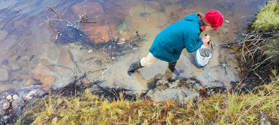 A person in a red cap and blue jacket collects water from a muddy shore using a white container.