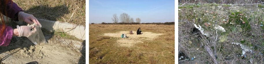 Three images: collecting soil samples, a person in a field with equipment, and a moss-covered wall with debris.