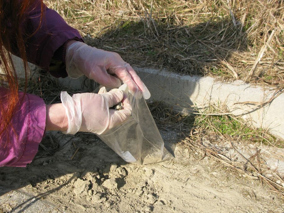 A person wearing gloves collects soil into a plastic bag near a concrete edge and dry grass.