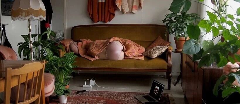 A person is lying face down on a green sofa, covered with a pink blanket. There are plants and a laptop nearby.