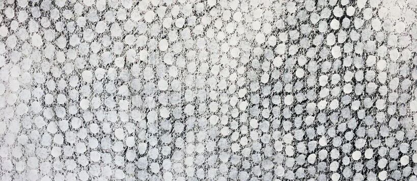 A textured pattern of white circles on a grey background, resembling a mesh or net.